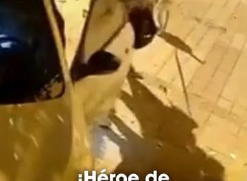 Los ladridos de su perro los salvan de un intento de robo