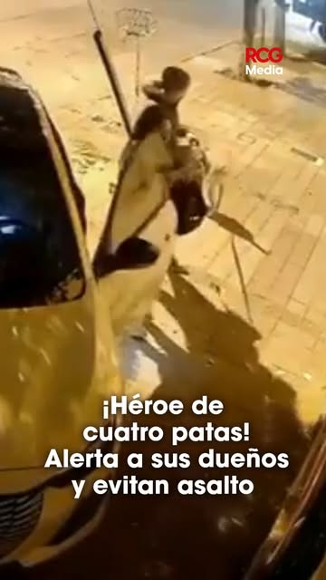 Los ladridos de su perro los salvan de un intento de robo